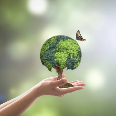 Reducing Waste Green Tree